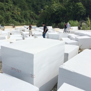 Block Selection & Inspection